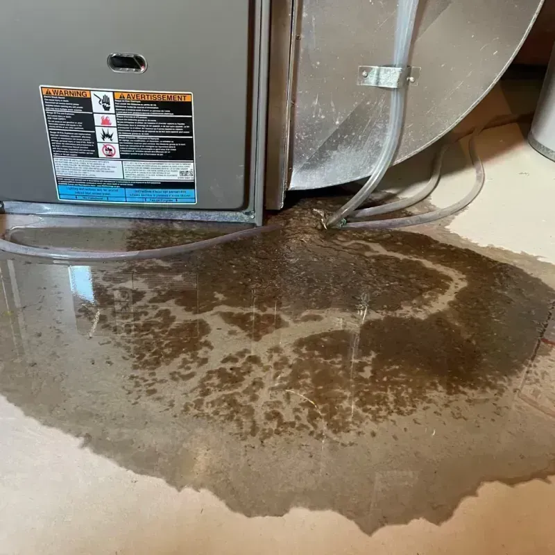 Appliance Leak Cleanup in South Roxana, IL